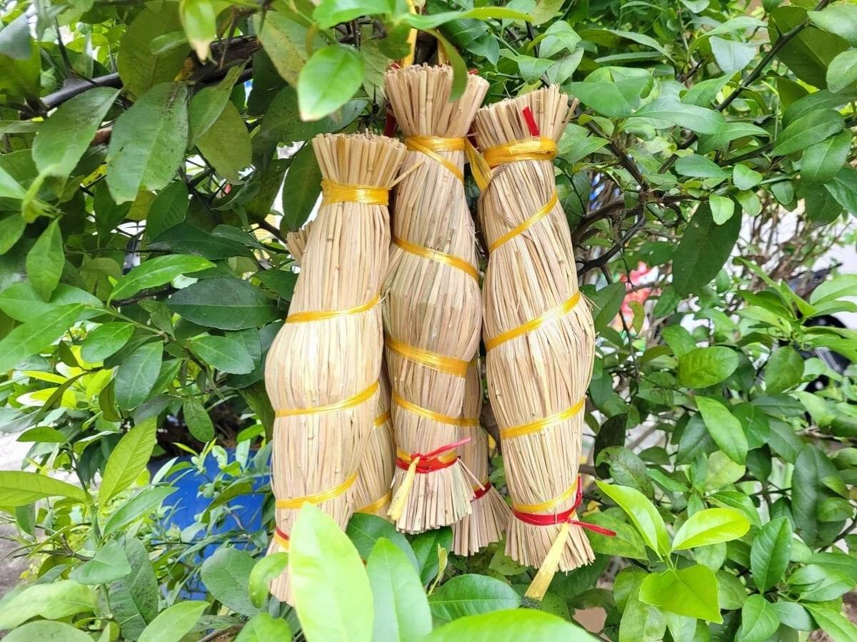 Tré Quy Nhơn là món ăn lạ miệng từ thịt heo luộc, da heo, tai heo thái nhỏ trộn gia vị