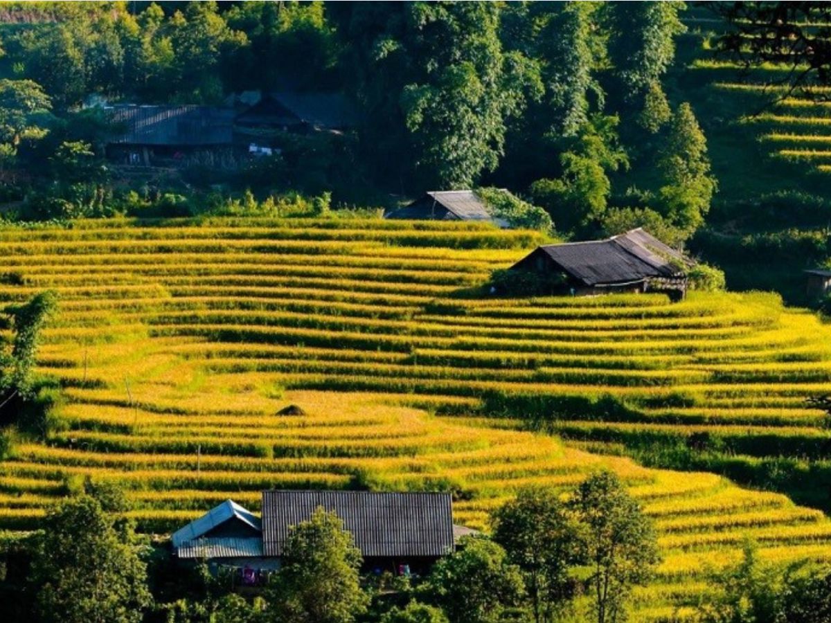 Vẻ đẹp mộc mạc của Bản Sín Chải