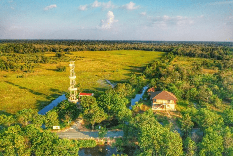 Vườn quốc gia Lò Gò – Xa Mát Sở hữu hệ sinh thái rừng phong phú với nhiều loài động thực vật quý hiếm.