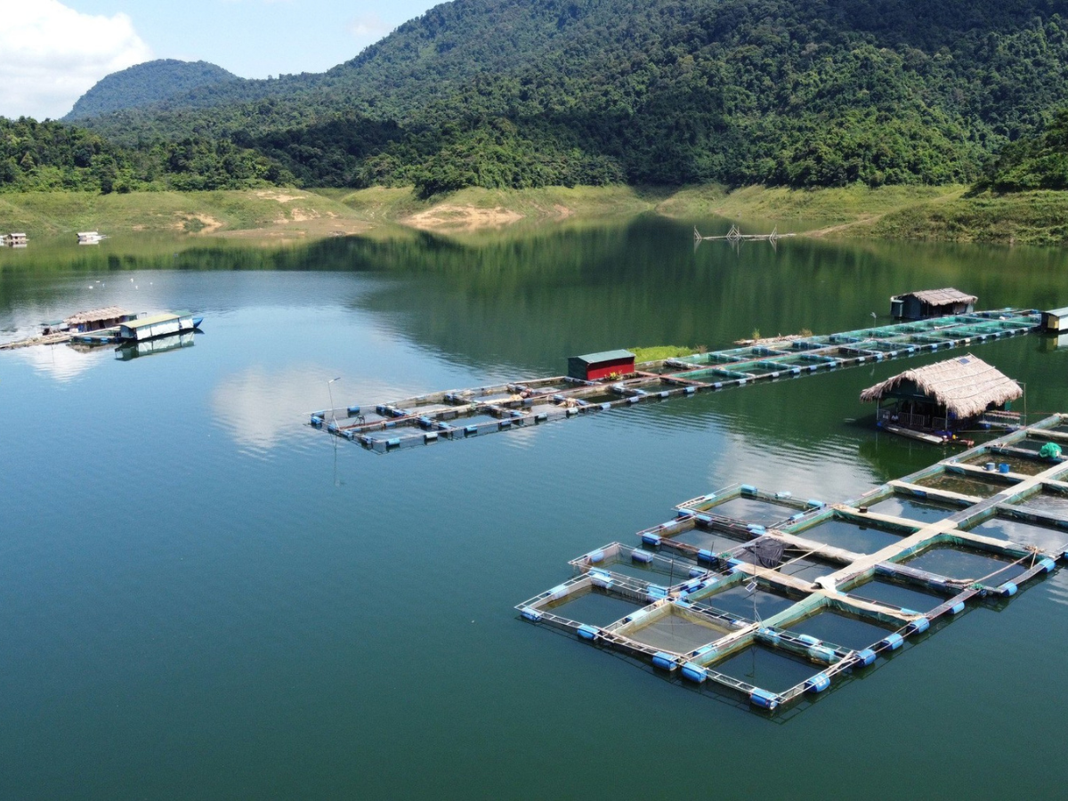 Quanh vùng hồ Cửa Đạt Thanh Hóa có nhiều homestay nằm gần bờ hồ, thiết kế hòa hợp với thiên nhiên.