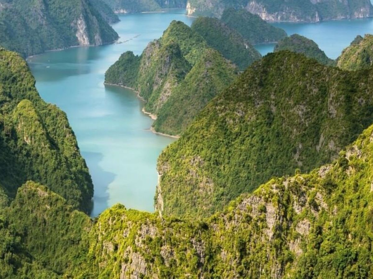 vuon-quoc-gia-cat-ba-khu-du-tru-sinh-quyen-the-gioi