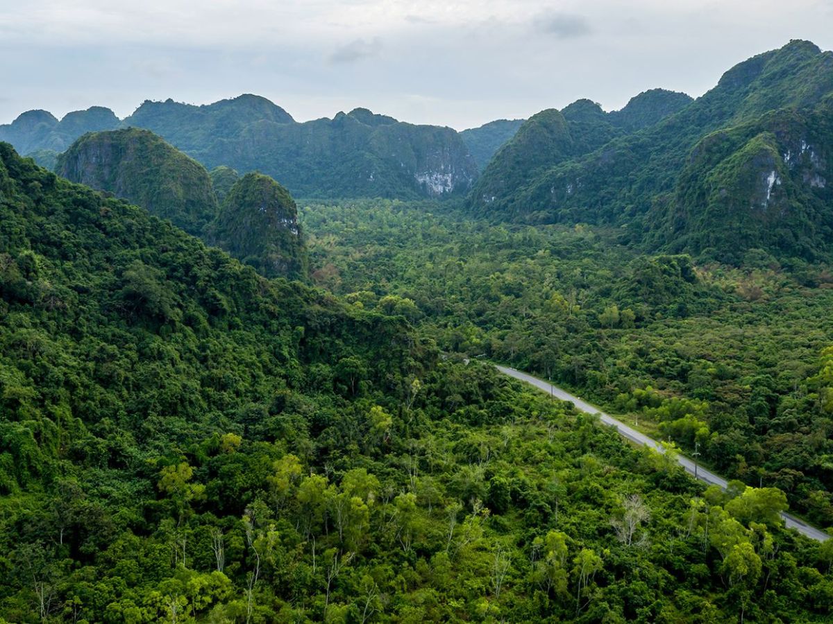 Khu dự trữ sinh quyển Cát Bà được UNESCO công nhận năm 2004.
