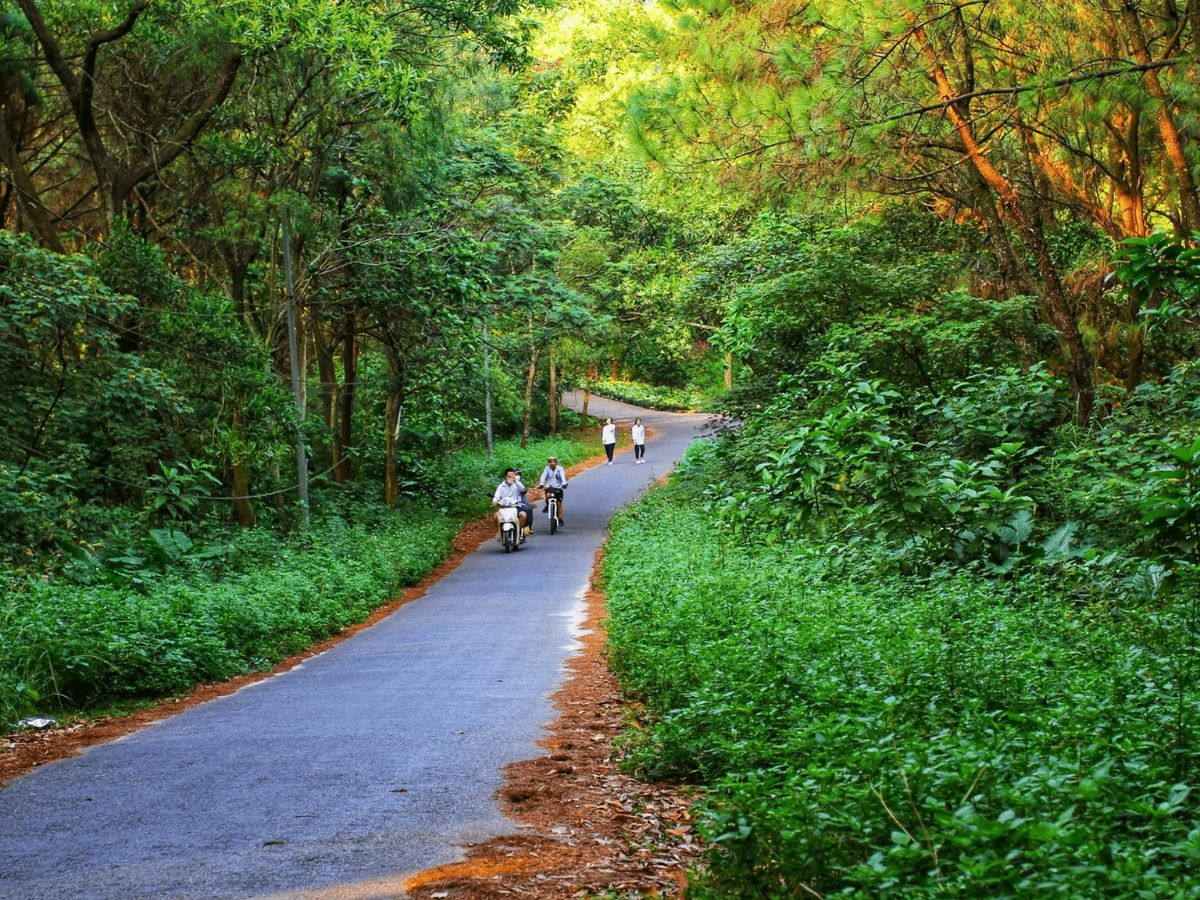 Dễ dàng di chuyển từ trung tâm Hải Phòng đến Đồi Thiên Văn bằng xe máy hoặc phương tiện công cộng.