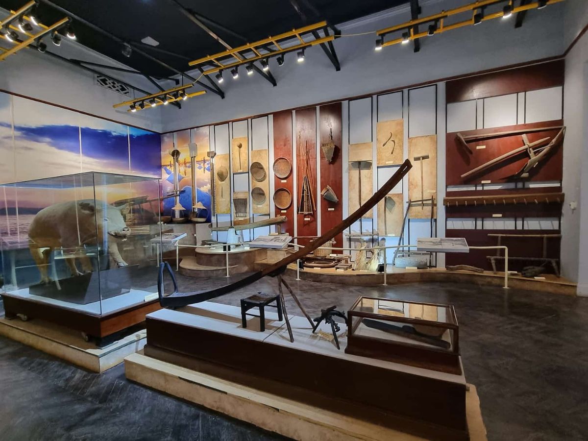 Bảo tàng Hải Phòng có nhiều triển lãm, sự kiện và hoạt động trải nghiệm.