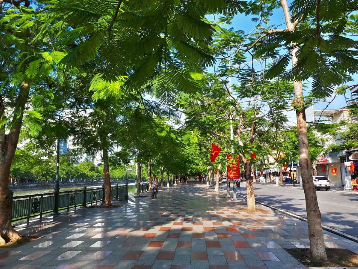 Chọn thời điểm đẹp để dạo quanh hồ Tam Bạc (Hải Phòng).