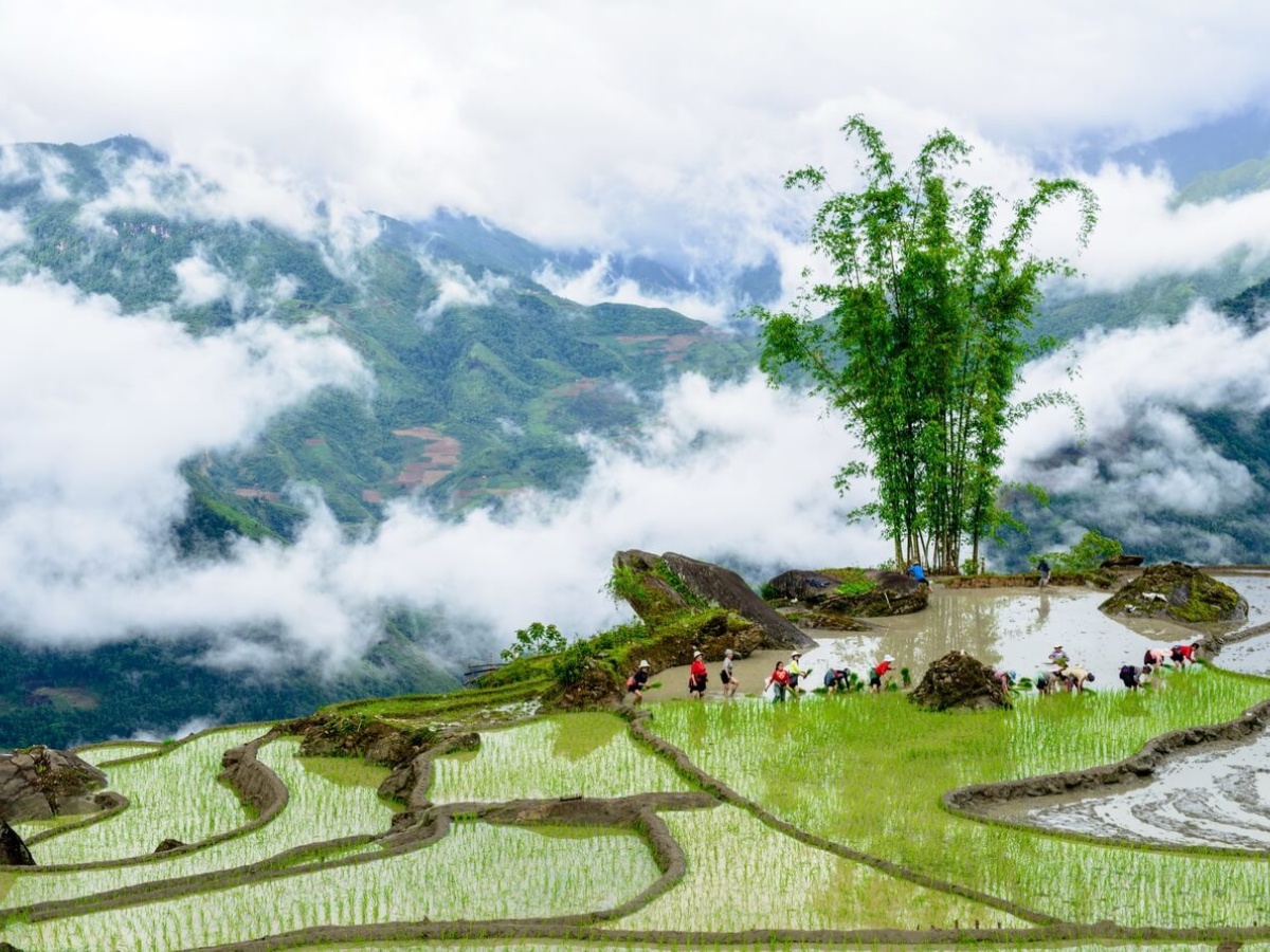 Cảnh sắc hùng vĩ tại Y Tý.