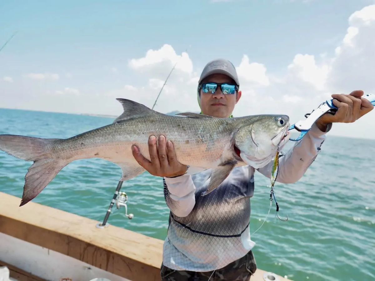 Fishing tour Cát Bà thu hút đông đảo du khách tham gia.