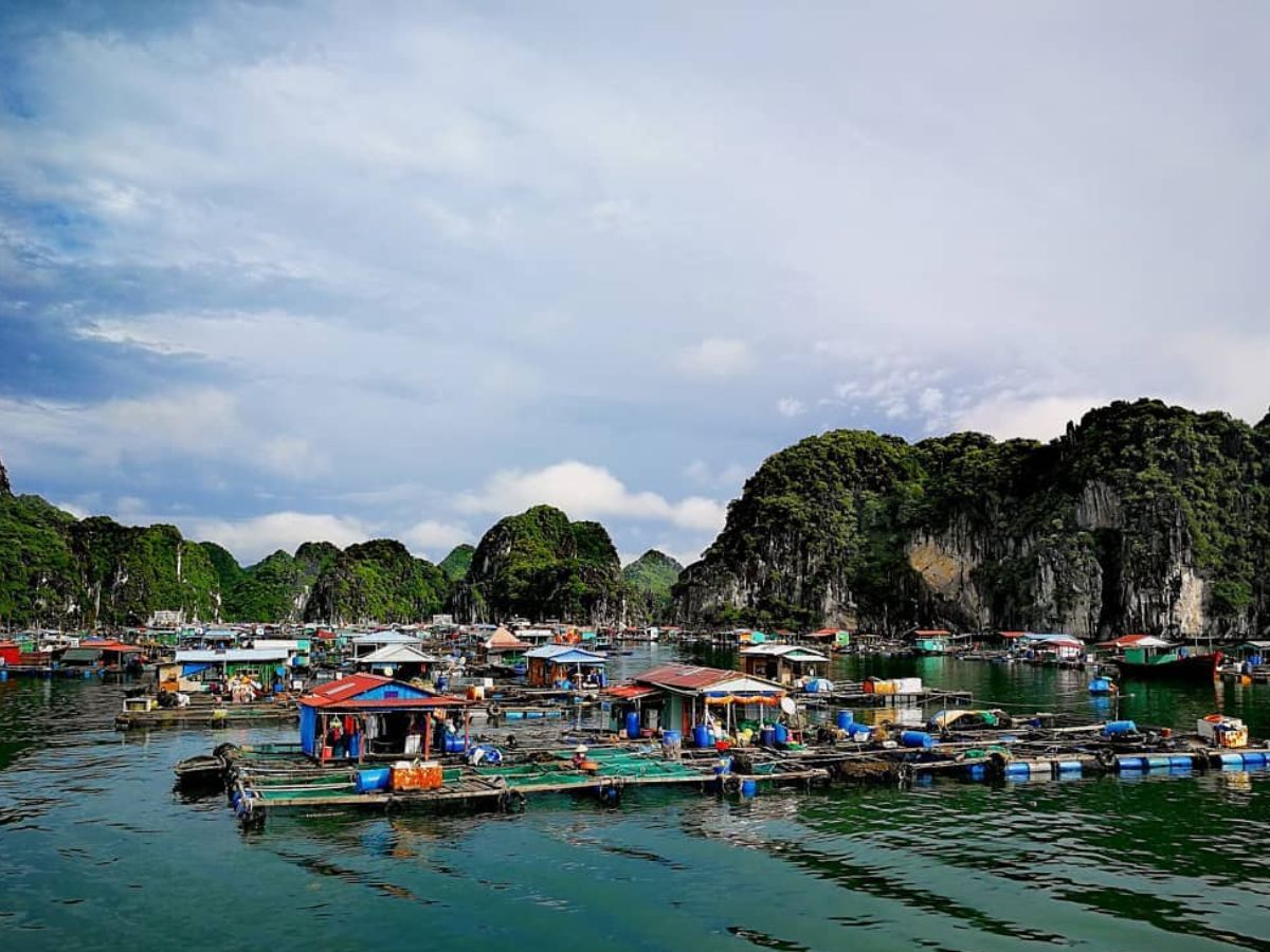 Chuẩn bị kỹ lưỡng để có một chuyến fishing tour Cát Bà mùa hè trọn vẹn.