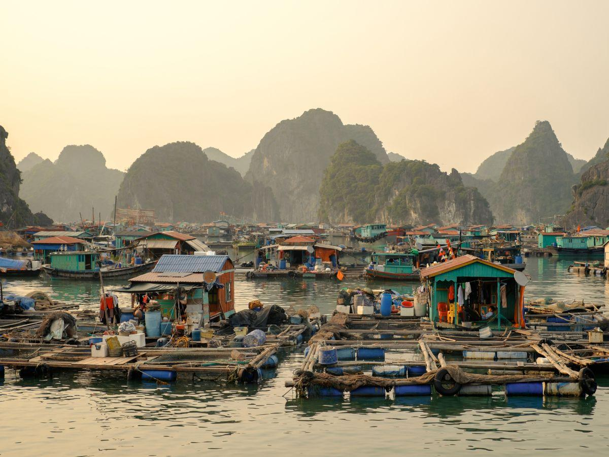 Khung cảnh yên bình tại làng chài Cái Bèo.