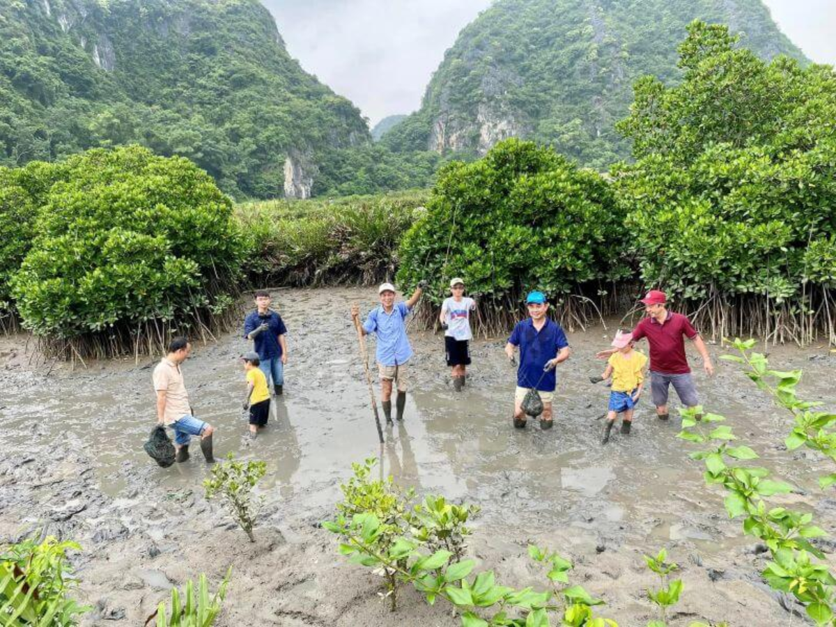 Thạch nhũ trong hang động Phù Long