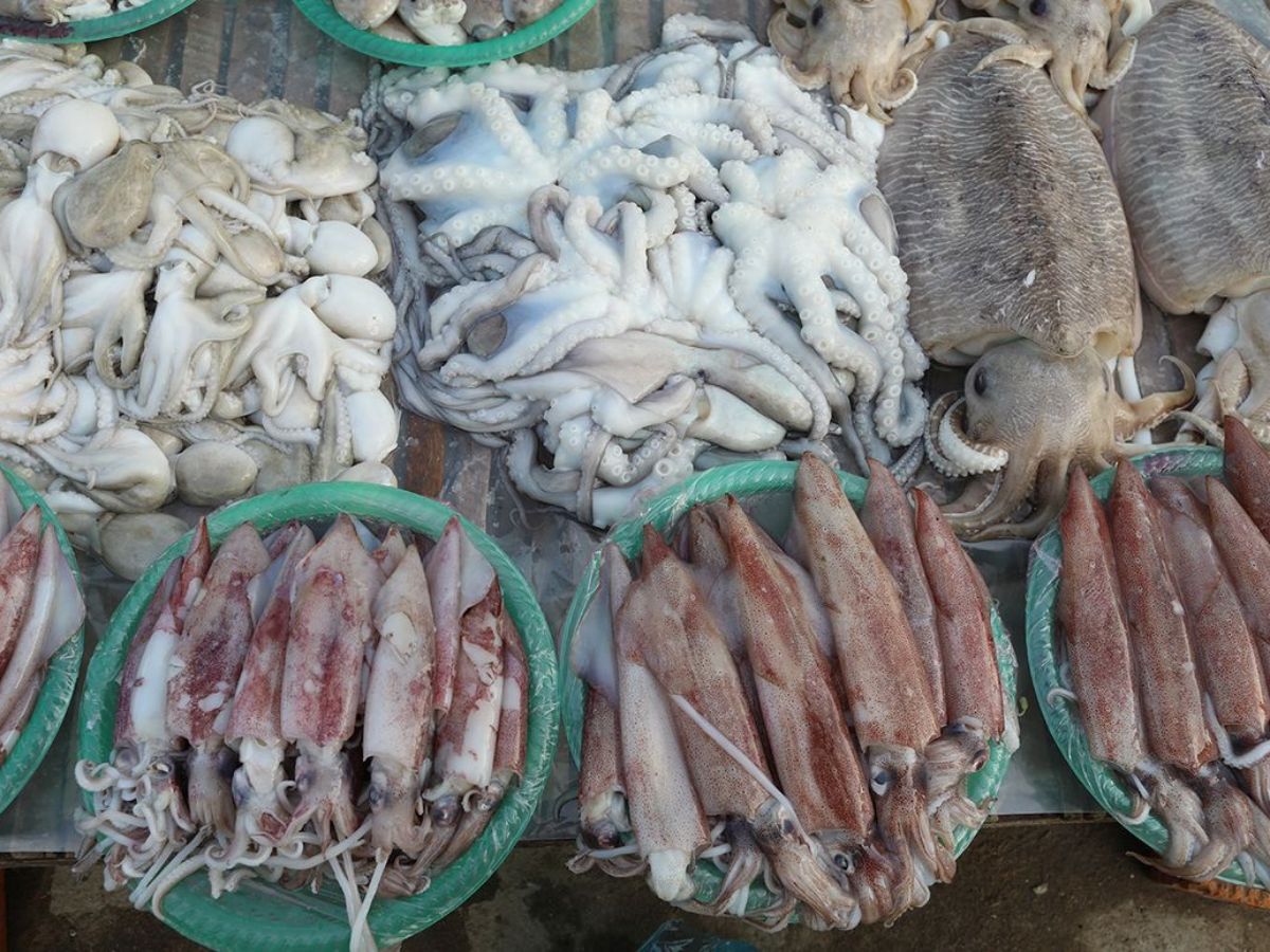 Du khách nên đi sớm để mua được hải sản tươi về làm quà