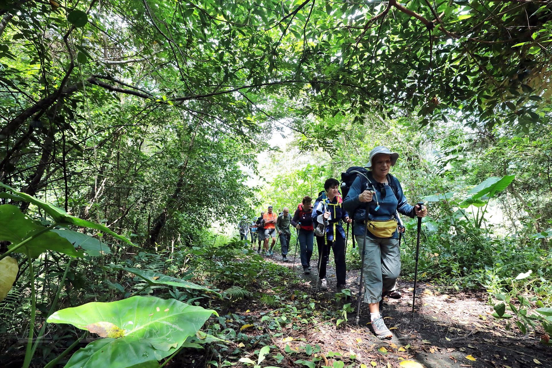 Du khách khám phá vẻ đẹp thiên nhiên trên các cung đường trekking tại Vườn quốc gia Cát Bà