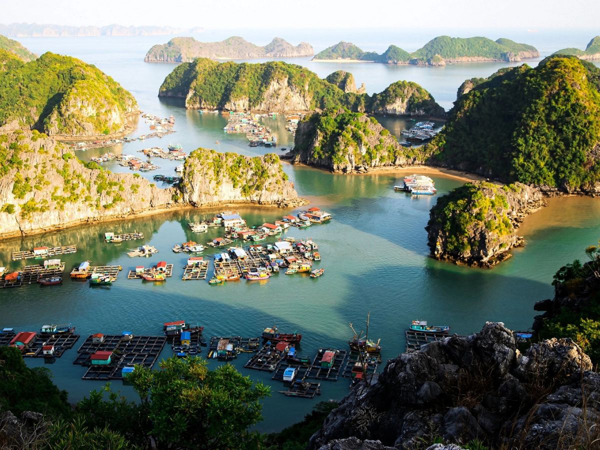 Làng chài Cái Bèo nổi bật với những nhà bè rực rỡ trên vịnh Lan Hạ