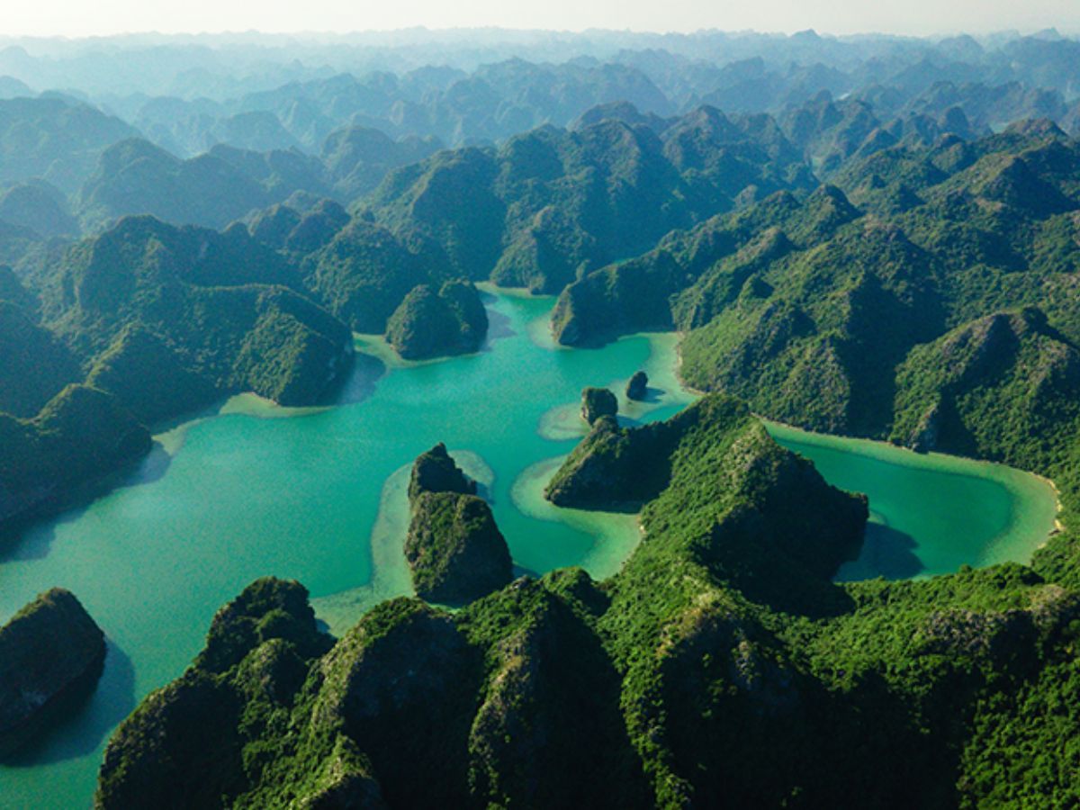 Cat Ba National Park features diverse forest and marine ecosystems recognized by UNESCO