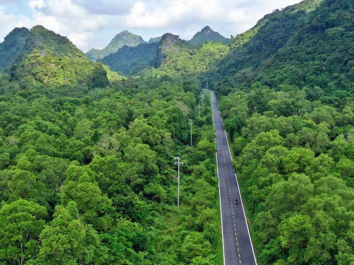 Vườn quốc gia Cát Bà được UNESCO công nhận là Khu dự trữ sinh quyển thế giới