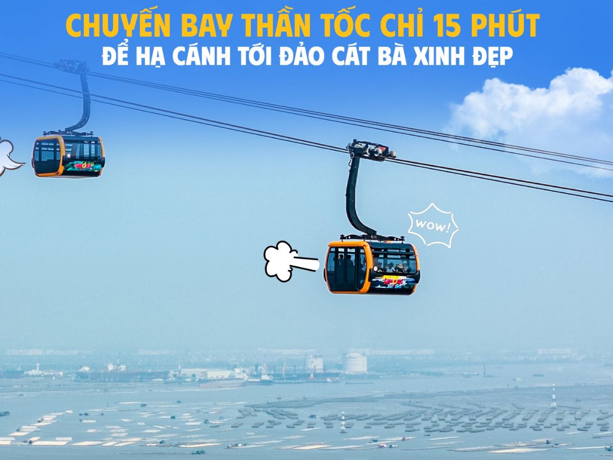 Cáp treo mang đến góc nhìn toàn cảnh về biển, rừng ngập mặn và những dãy núi đá vôi đặc trưng của quần đảo Cát Bà