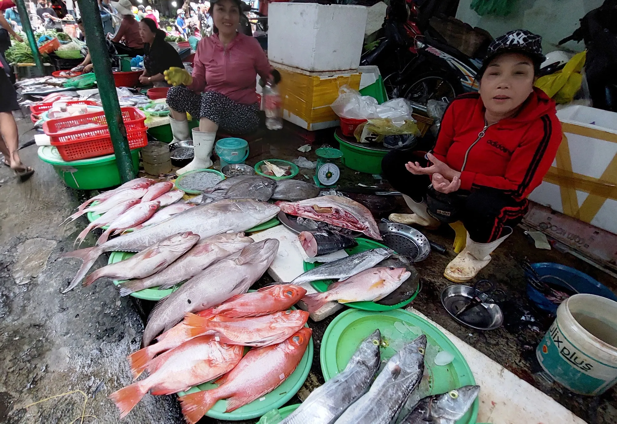 Carefully checking the freshness and comparing prices before buying can help you choose the right seafood