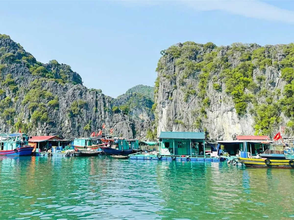 Văn hóa làng chài Cát Bà hình thành từ quá trình cư dân sinh sống, lao động và thích nghi với môi trường biển đảo