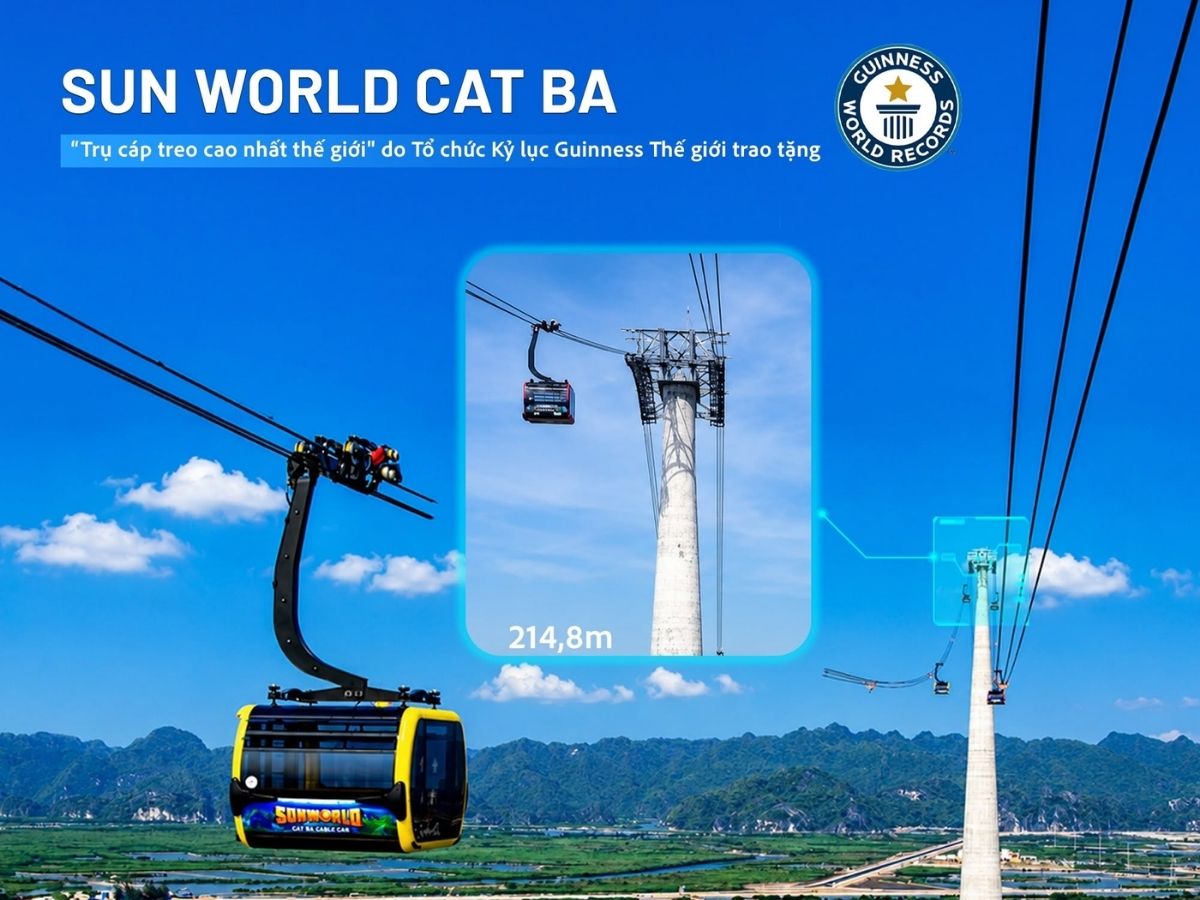 Điểm nhấn của tuyến là trụ cáp cao 214,8 m, từng được Guinness World Records xác lập kỷ lục về trụ cáp cao nhất thế giới