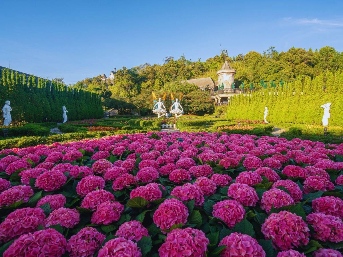 Vườn hoa Le Jardin D'Amour tái hiện không gian vườn hoa kiểu Pháp lãng mạn