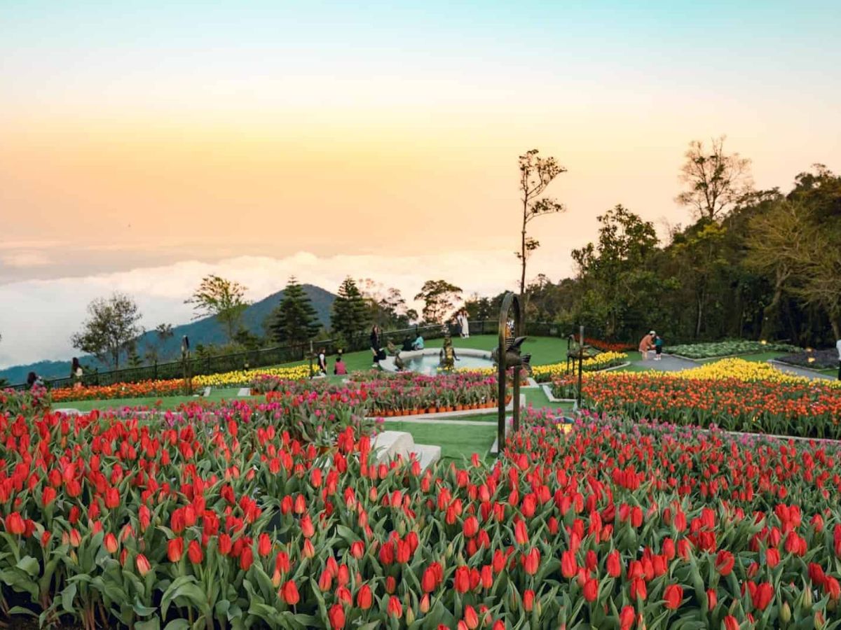 Vuon-duoc-thiet-ke-theo-phong-cach-Phap-dac-trung-moi-khu-vuon-mang-mot-chu-de-rieng-biet