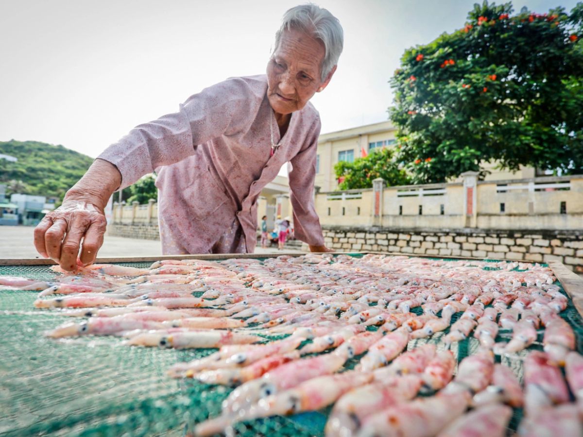 Chọn mực một nắng Đà Nẵng chất lượng để làm quà