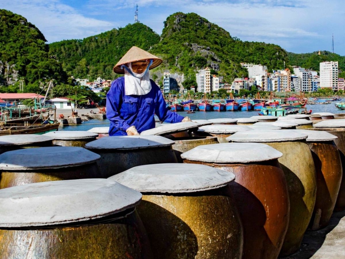 Nước mắm Nam Ô Đà Nẵng là nguồn sinh kế ổn định cho ngư dân