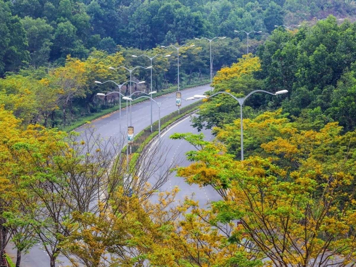 Cung đường đi từ Đà Nẵng đến Bà Nà sở hữu nét đẹp thiên nhiên hấp dẫn