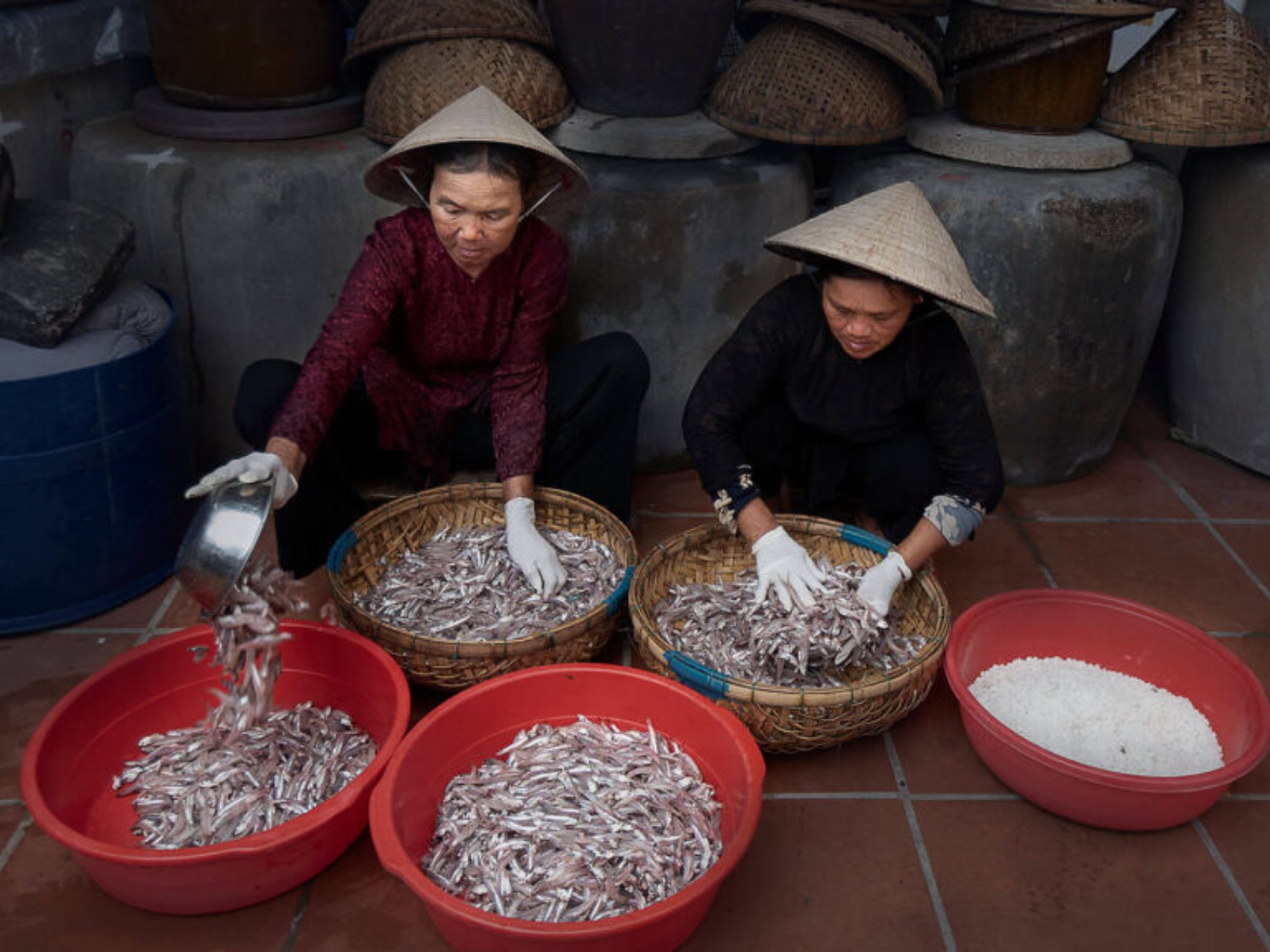Làng nghề nước mắm Nam Ô: Khám phá di sản ẩm thực trăm năm bên vịnh Đà Nẵng