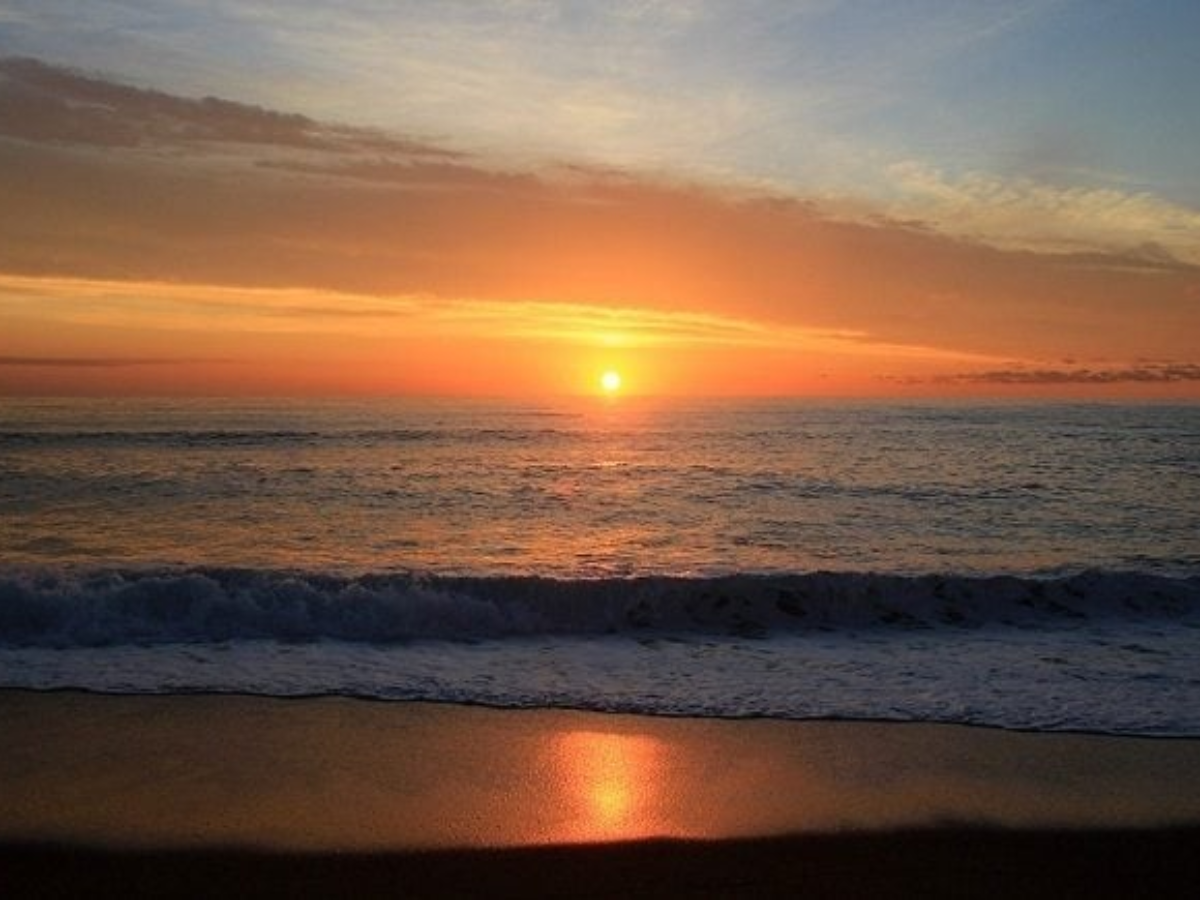 Hiện tượng “biển đỏ” tại bãi biển Xuân Thiều