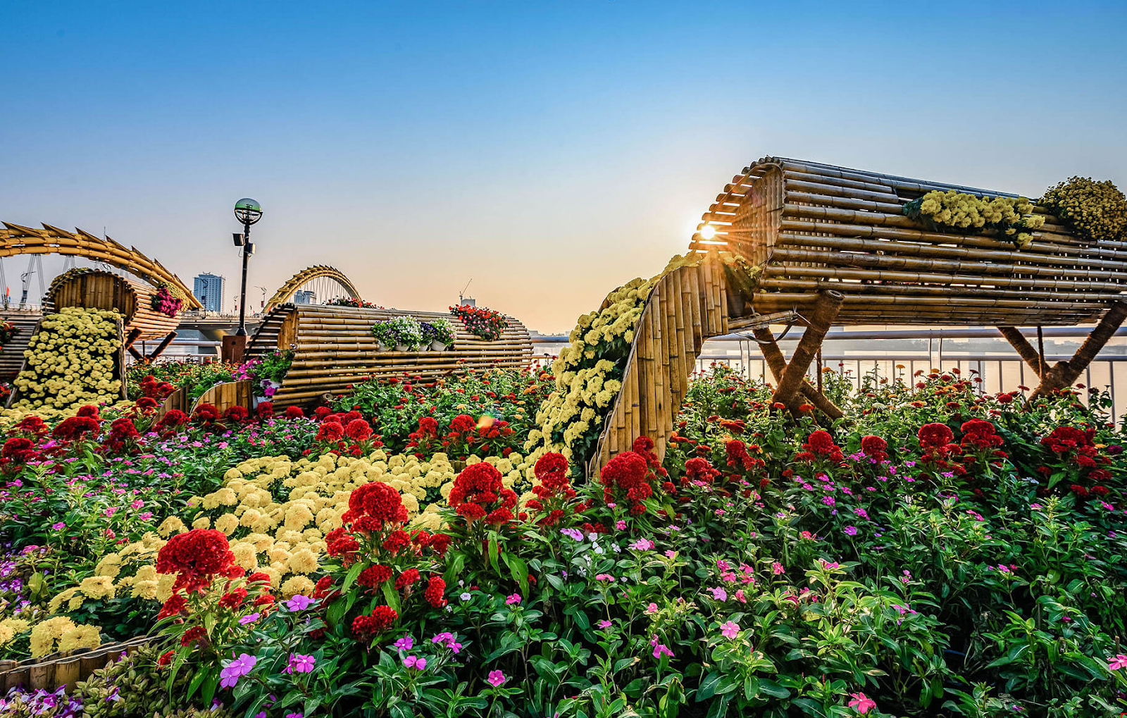 Du khách có thể dễ dàng bắt gặp các khu chợ hoa Tết dọc các tuyến đường lớn tại Đà Nẵng