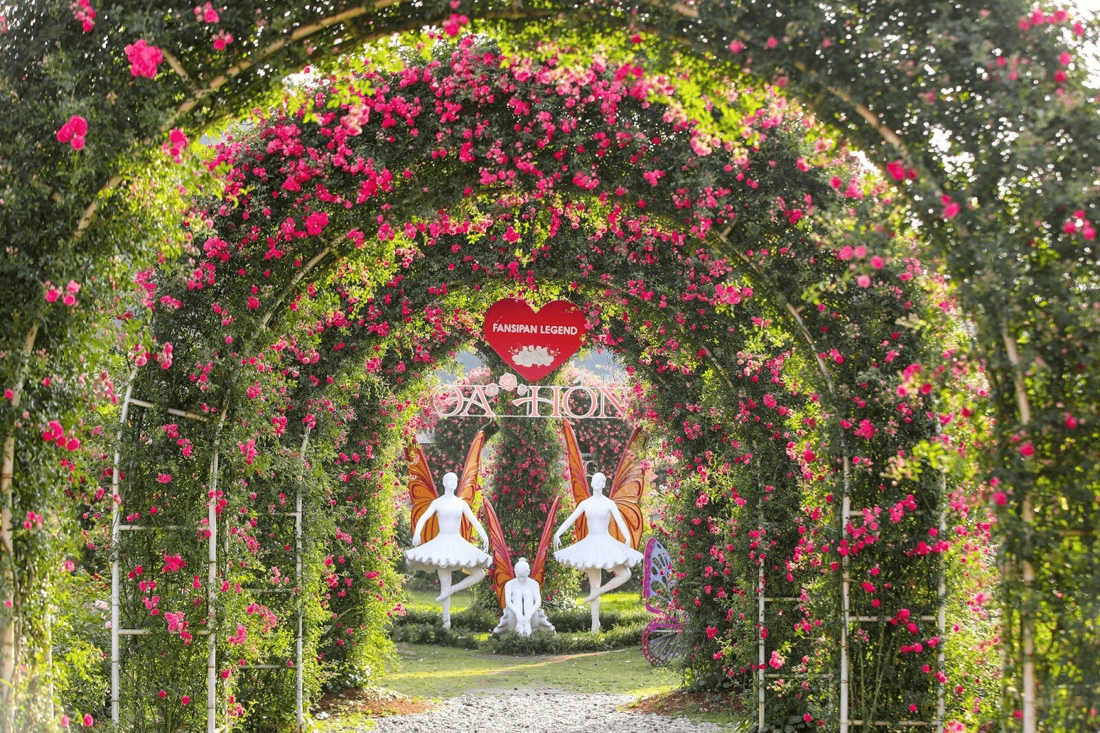 Đến với Sun World Fansipan Legend dịp này, du khách được chiêm ngưỡng các loài hoa thi nhau khoe sắc