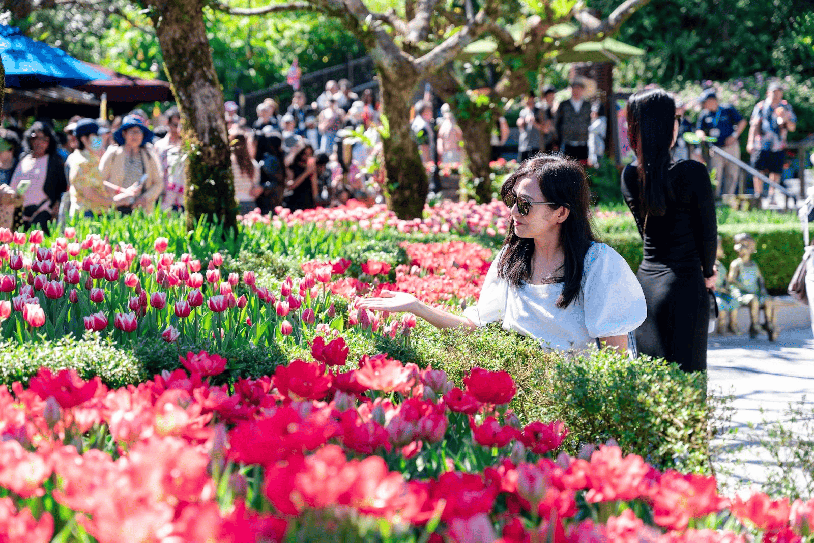 Sun World Ba Na Hills tràn ngập sắc hoa dịp lễ 30/4