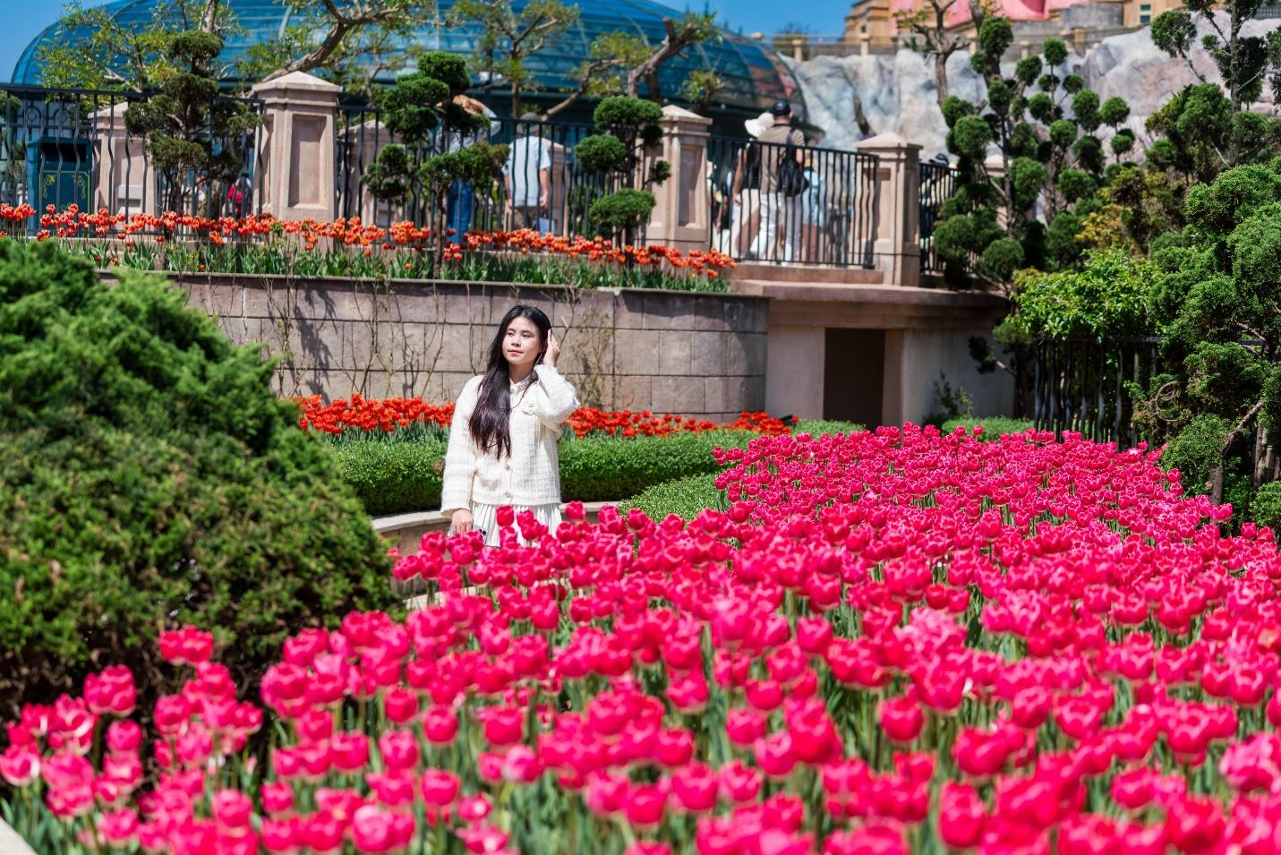 Không gian hoa Tulip hòa quyện cùng cảnh sắc mây trời Bà Nà mang đến cảm giác như đang lạc bước vào một bức tranh đời thực. (Nguồn: Sưu tầm)