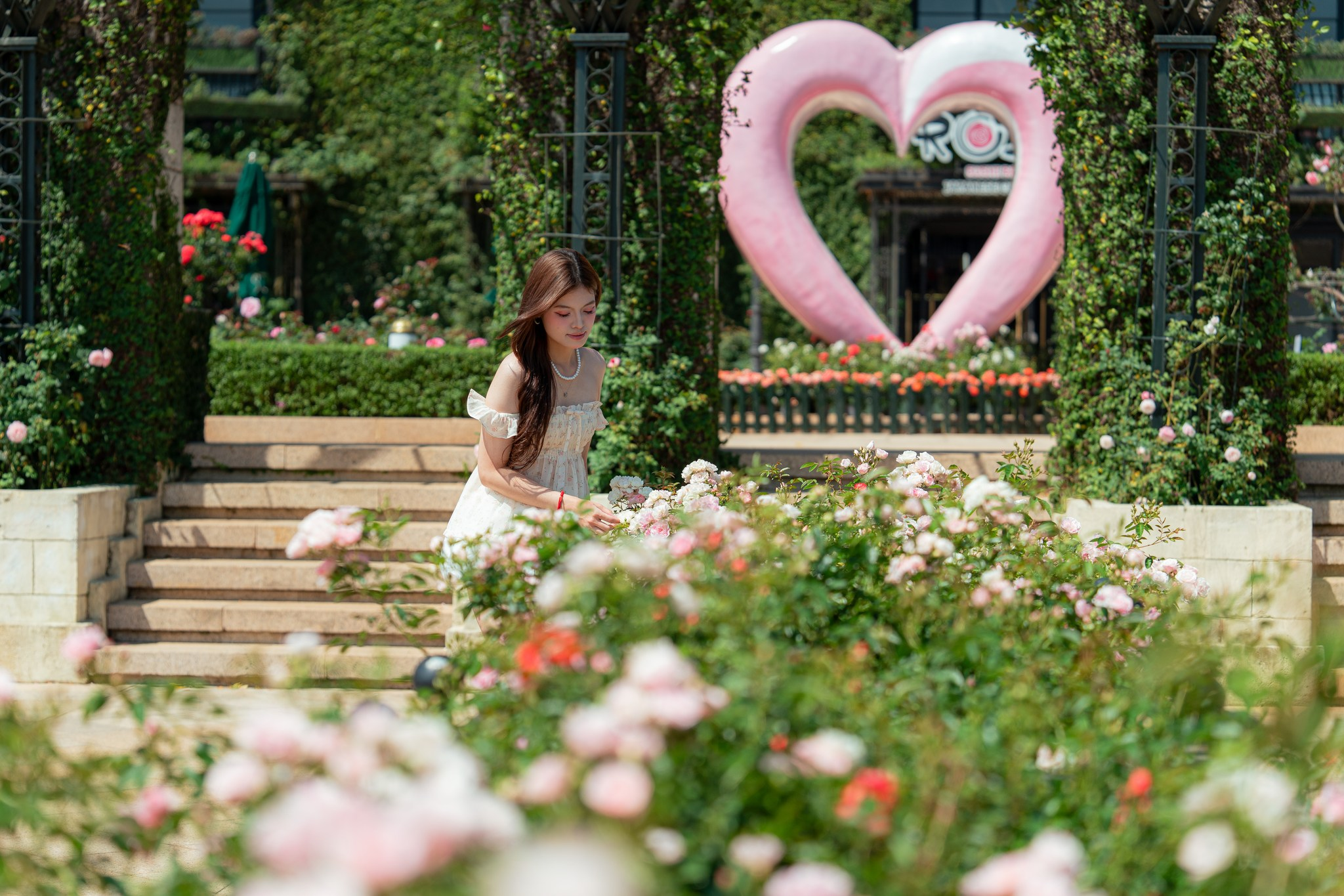 Sắc hoa tràn ngập khắp nơi trên đỉnh Bà Nà mùa hè này