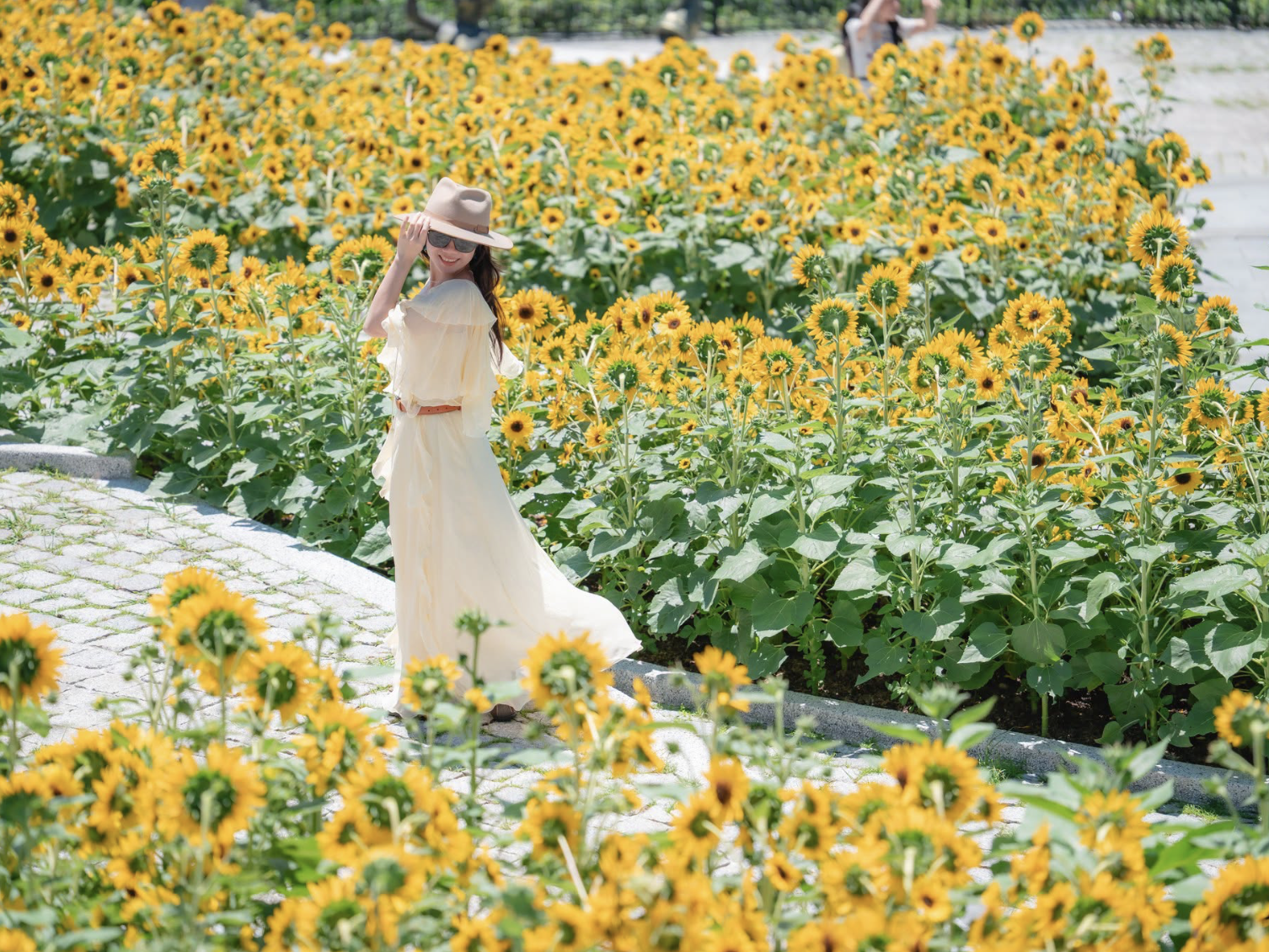 Bà Nà Hills nổi bật vào mùa hè với những vườn hoa hướng dương vàng rực
