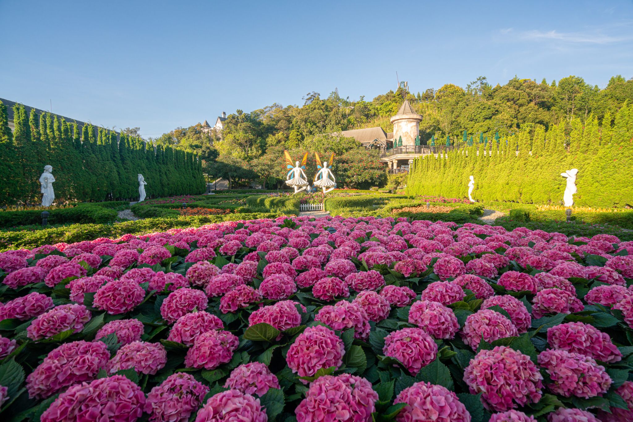 Thế giới hoa đa sắc màu tại Le Jardin D’Amour