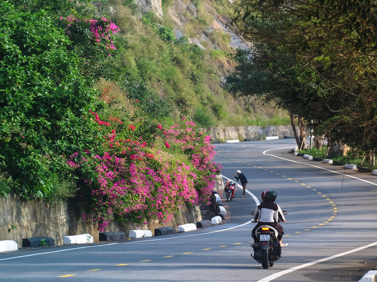 cung-duong-xanh-ban-dao-son-tra