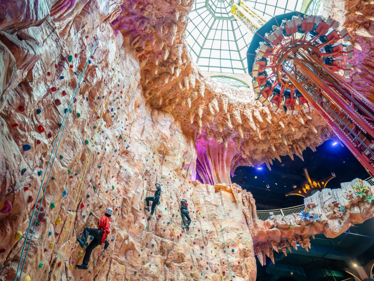 tham-gia-leo-nui-trong-nha-tai-khu-vui-choi-fantasy-park