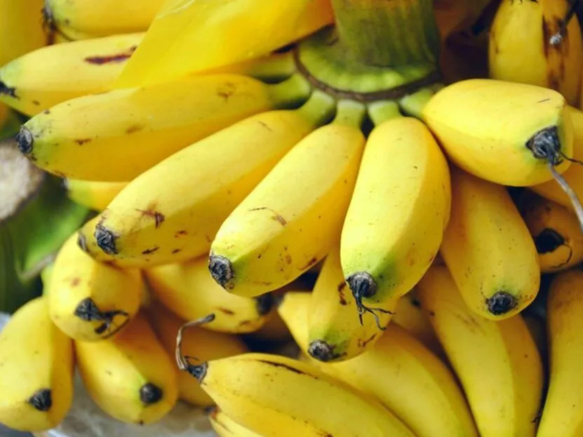 Cảm nhận vị ngọt thanh của chuối ngự Đại Hoàng