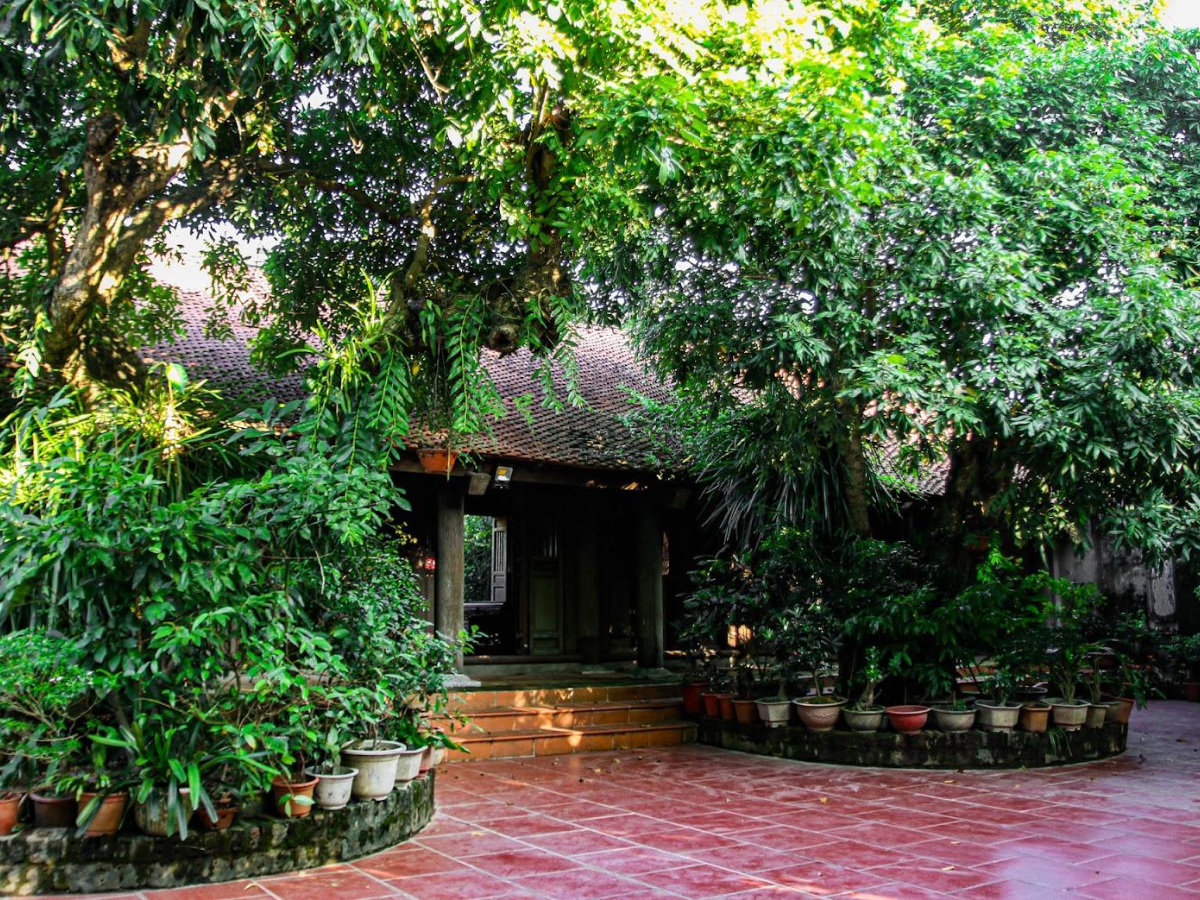 Không gian sân vườn từ đường mang lại cảm giác gần gũi, thanh bình