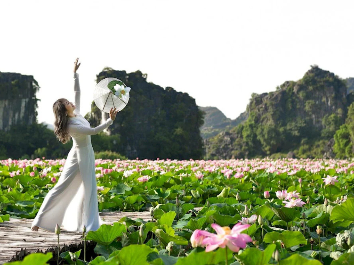 Ghé thăm ao sen và con đường trúc thơ mộng dưới chân Hang Múa