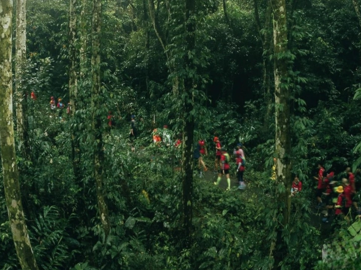 Trải nghiệm tour đêm rừng Cúc Phương khám phá thế giới hoang dã về đêm