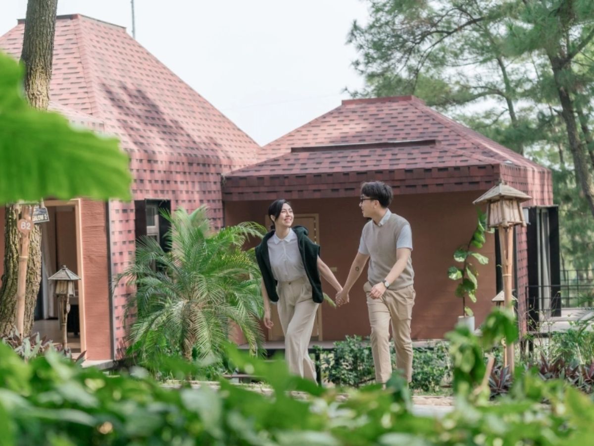 Mỗi mùa, đồi thông Nho Quan lại mang một vẻ đẹp riêng biệt.