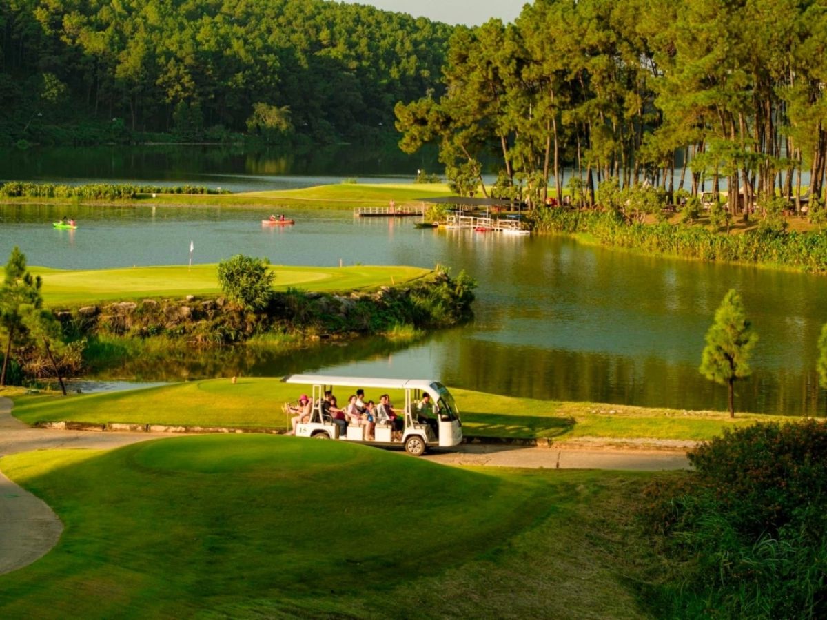 Đồi thông Nho Quan, “Đà Lạt thu nhỏ” giữa lòng Ninh Bình.