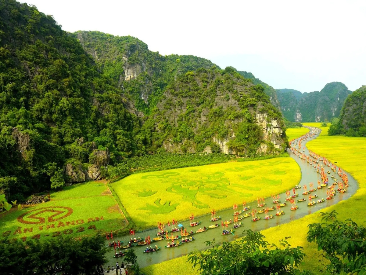 Toàn cảnh cánh đồng lúa chín vàng rực rỡ tại Tam Cốc, nơi dòng sông Ngô Đồng uốn lượn như một dải lụa mềm mại.