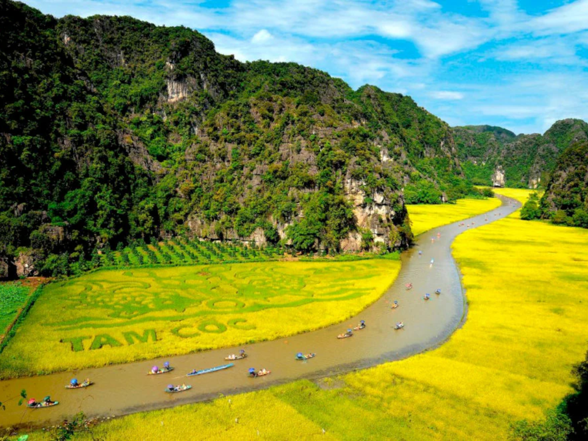 Ngày thứ hai Tam Cốc – Bích Động là điểm lý tưởng với cảnh đồng lúa núi non và dòng nước hiền hòa.