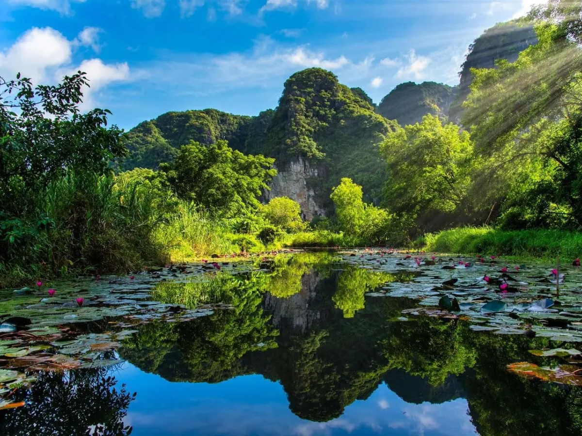Thung Nắng thuộc phường Hoa Lư là địa điểm lý tưởng để ngắm mùa hoa súng ở Ninh Bình.