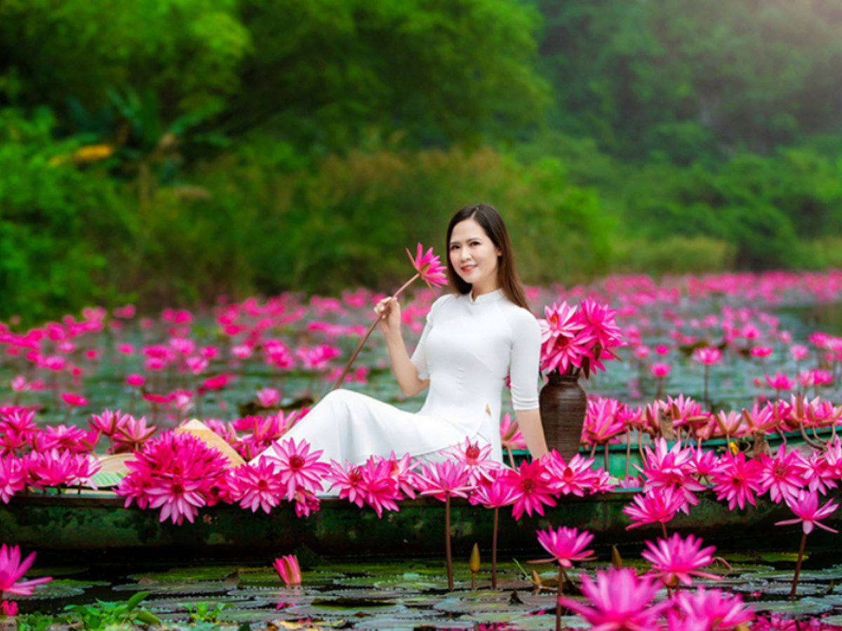 Mùa hoa súng ở Ninh Bình là thiên đường cho những tín đồ check in và giới nhiếp ảnh.