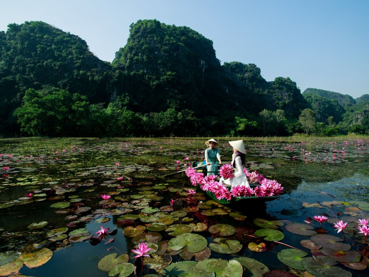 Không gì tuyệt vời hơn việc lênh đênh trên đầm nước ngắm những bông hoa súng hồng phấn.